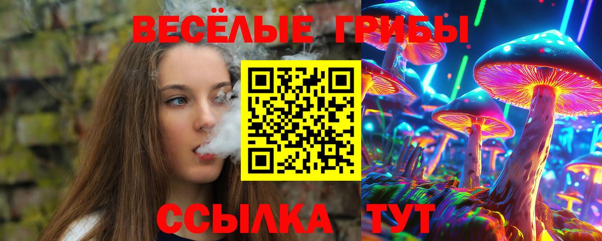 Галлюциногенные грибы прущие грибы  Вход с VPN  Шарыпово 