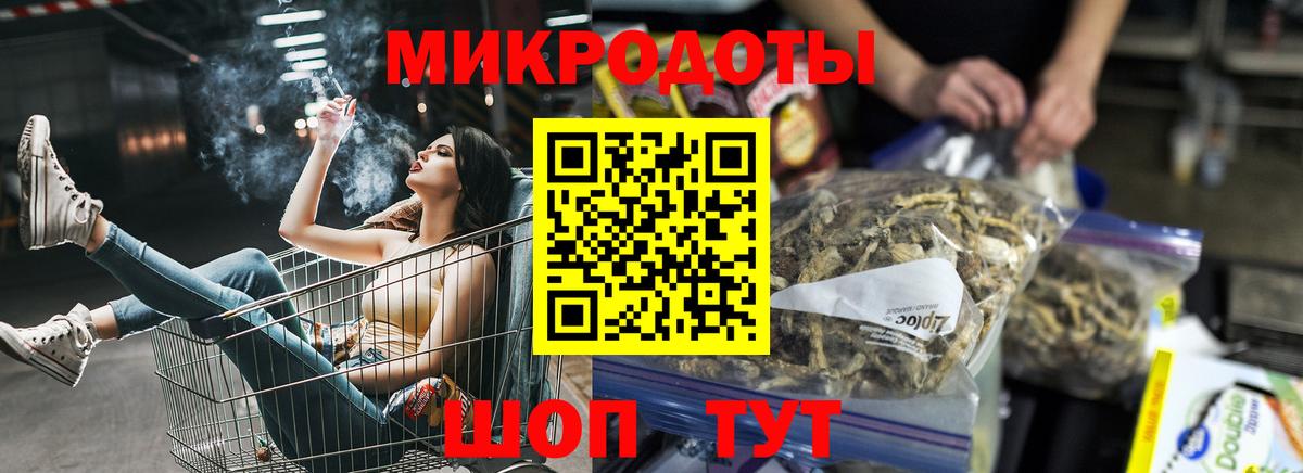 Галлюциногенные грибы Psilocybe Шарыпово