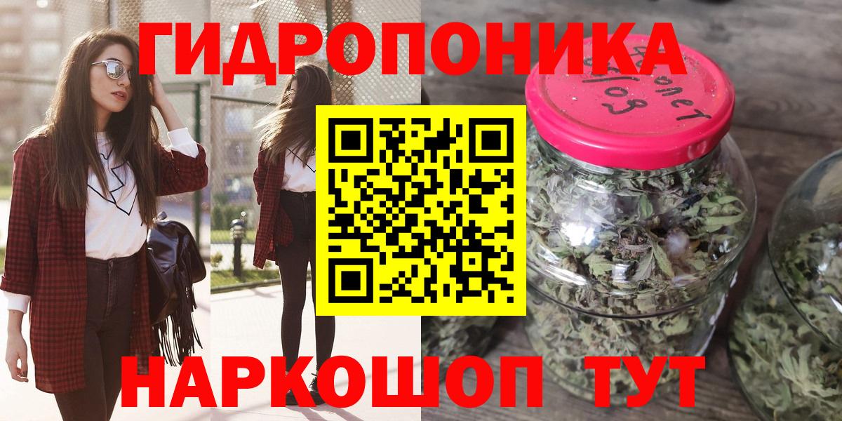 Каннабис планчик  Канабис ГИДРОПОН  Вход с VPN  МАРИХУАНА конопля  Шарыпово  Шишки марихуана OG Kush 
